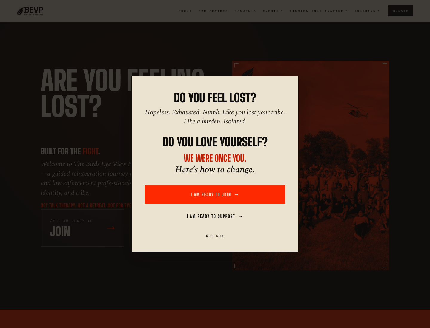 The redesigned Birds Eye View homepage with clear participant and supporter paths