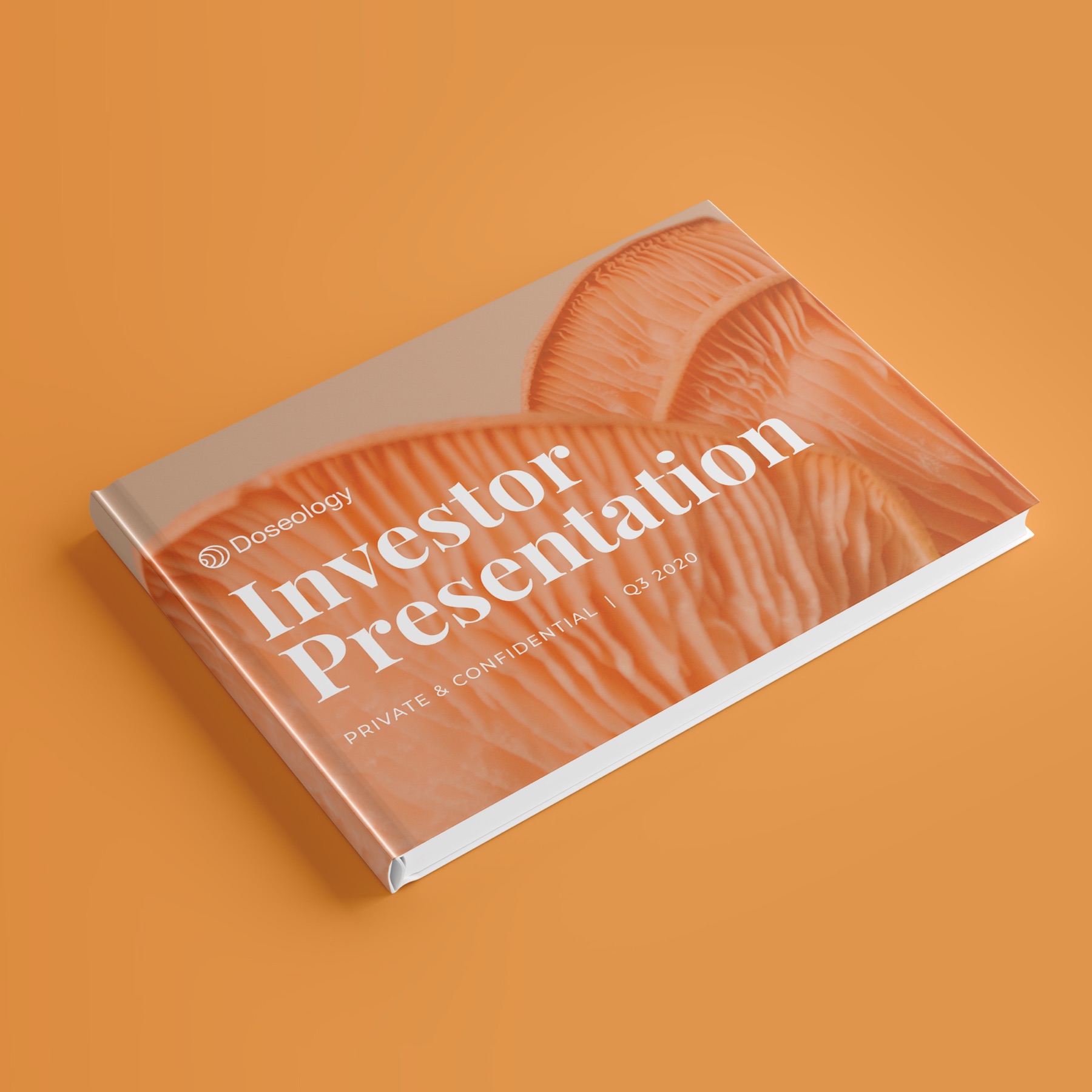 Doseology investor presentation visual