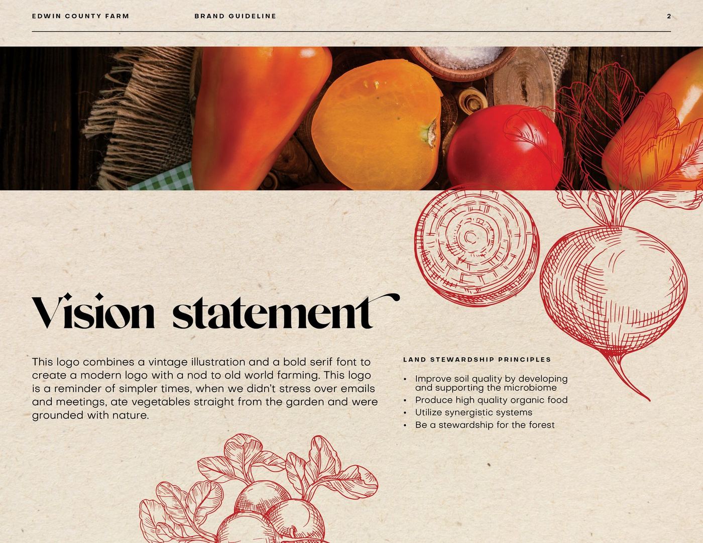 Brand guidelines — vision statement spread