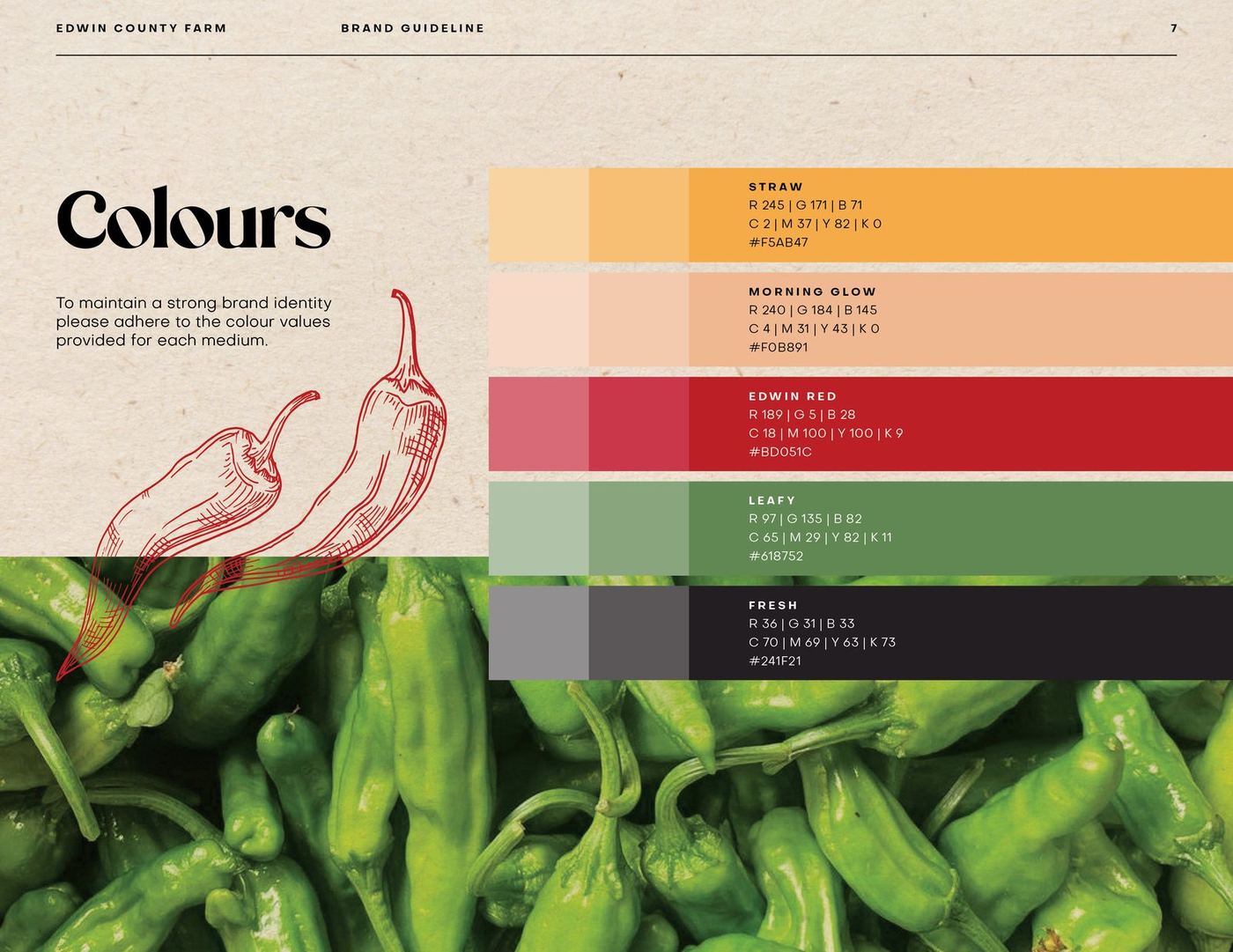 Brand guidelines — colour system spread