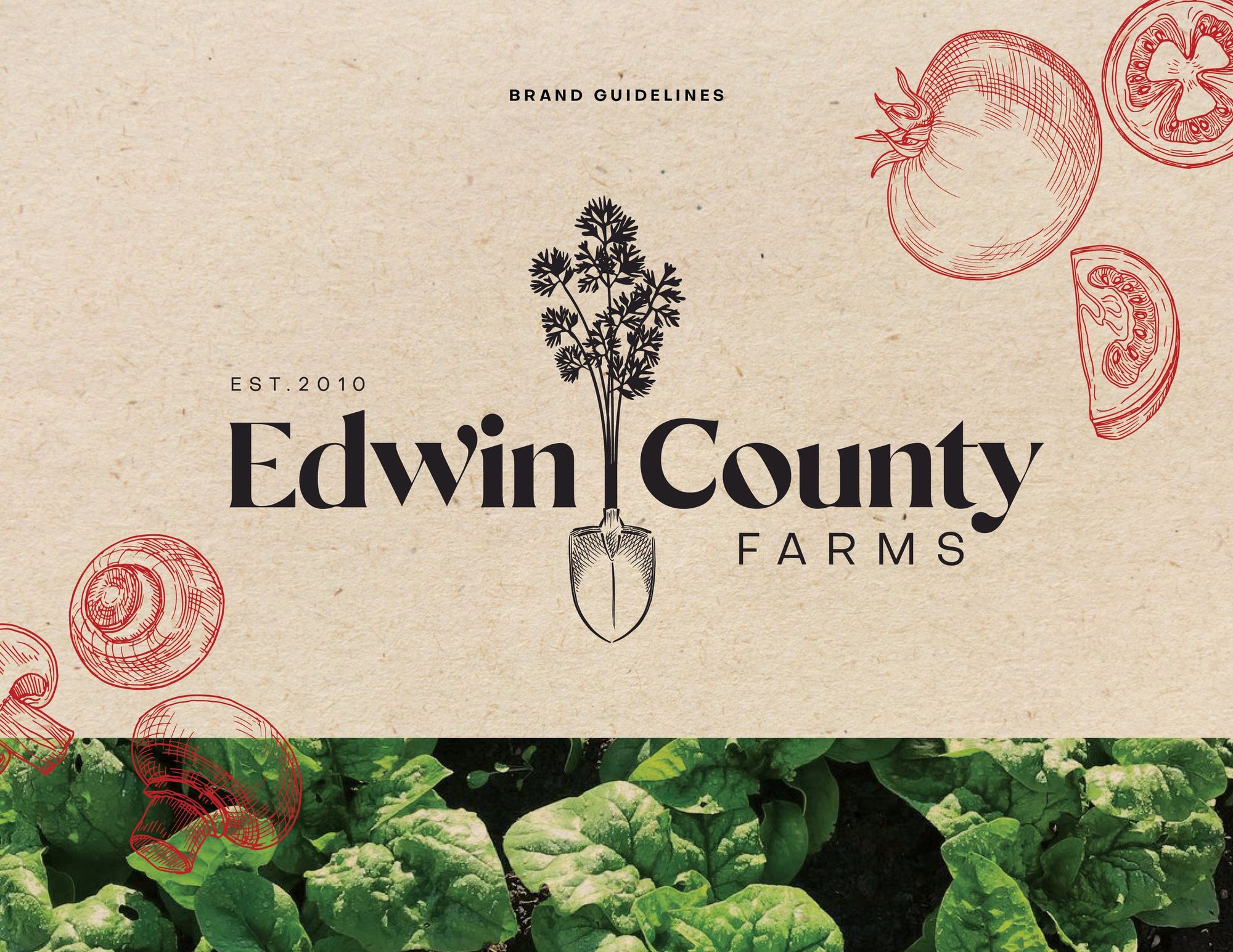 Edwin County Farms brand guidelines — kraft paper cover with vintage vegetable etchings